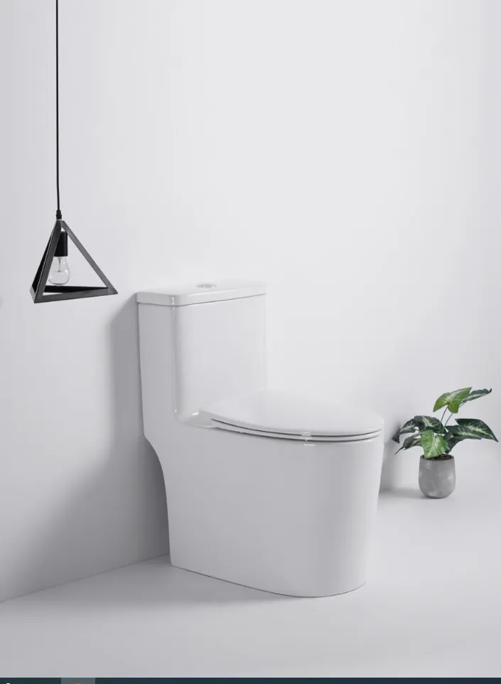 T-6636 One Piece Regular Toilet
